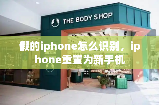 假的iphone怎么识别，iphone重置为新手机-第1张图片-星选测评