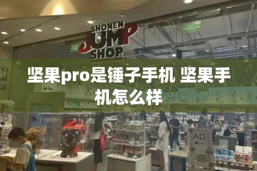 坚果pro是锤子手机 坚果手机怎么样-第1张图片-星选测评