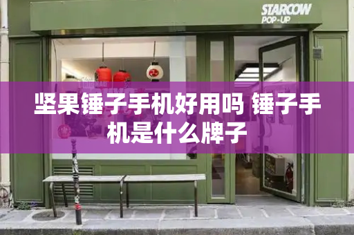 坚果锤子手机好用吗 锤子手机是什么牌子-第1张图片-星选测评