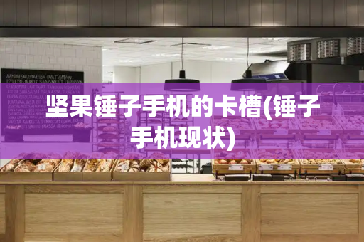 坚果锤子手机的卡槽(锤子手机现状)