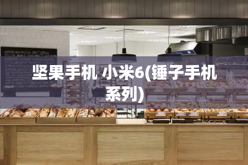 坚果手机 小米6(锤子手机系列)