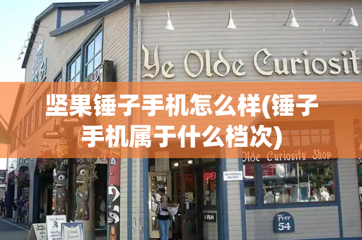 坚果锤子手机怎么样(锤子手机属于什么档次)
