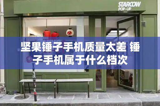 坚果锤子手机质量太差 锤子手机属于什么档次-第1张图片-星选测评