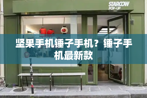 坚果手机锤子手机？锤子手机最新款