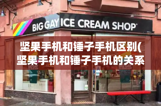 坚果手机和锤子手机区别(坚果手机和锤子手机的关系)