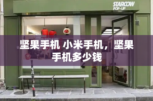 坚果手机 小米手机，坚果手机多少钱-第1张图片-星选测评