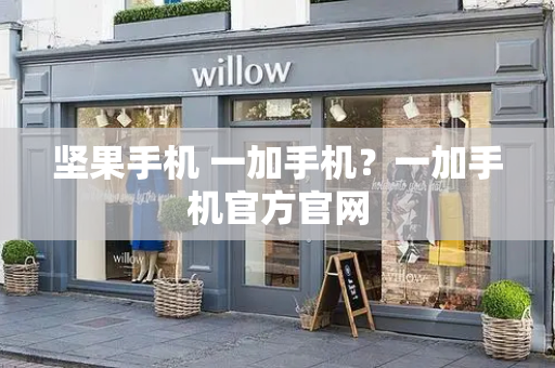 坚果手机 一加手机？一加手机官方官网-第1张图片-星选测评
