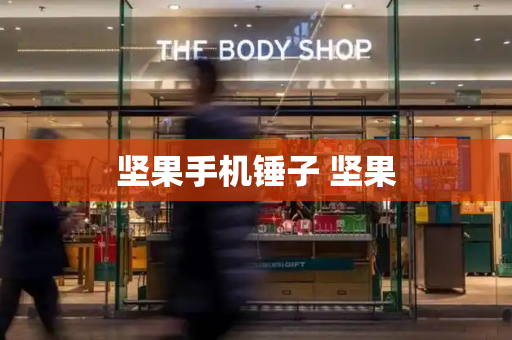 坚果手机锤子 坚果-第1张图片-星选测评