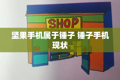坚果手机属于锤子 锤子手机现状-第1张图片-星选测评