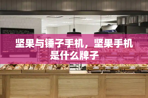 坚果与锤子手机，坚果手机是什么牌子-第1张图片-星选测评