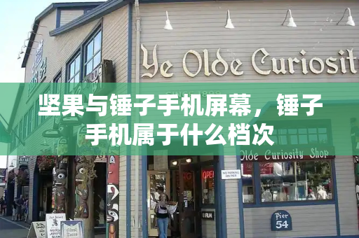 坚果与锤子手机屏幕，锤子手机属于什么档次