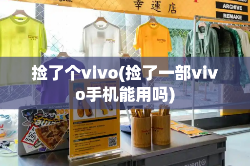 捡了个vivo(捡了一部vivo手机能用吗)
