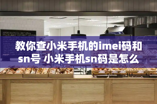教你查小米手机的imei码和sn号 小米手机sn码是怎么样的-第1张图片-星选测评