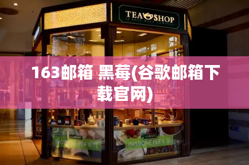 163邮箱 黑莓(谷歌邮箱下载官网)