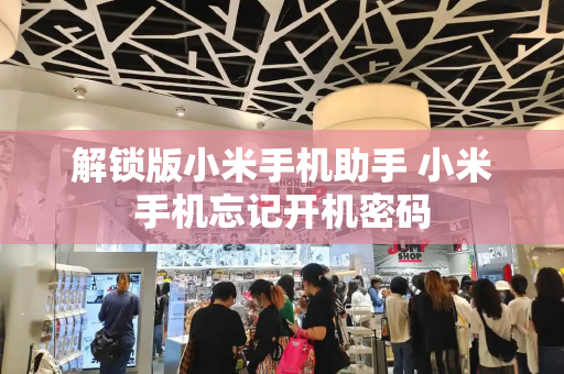 解锁版小米手机助手 小米手机忘记开机密码-第1张图片-星选测评