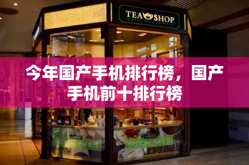 今年国产手机排行榜，国产手机前十排行榜-第1张图片-星选测评