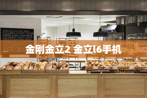金刚金立2 金立l6手机-第1张图片-星选测评