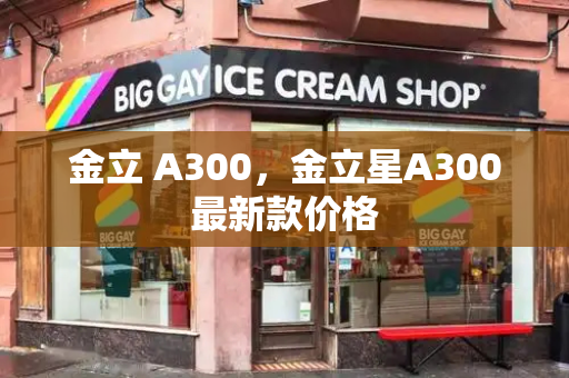 金立 A300，金立星A300最新款价格-第1张图片-星选测评