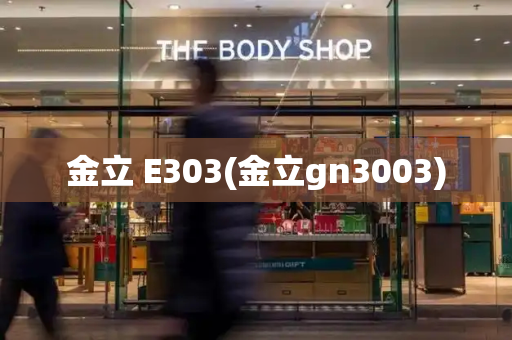 金立 E303(金立gn3003)
