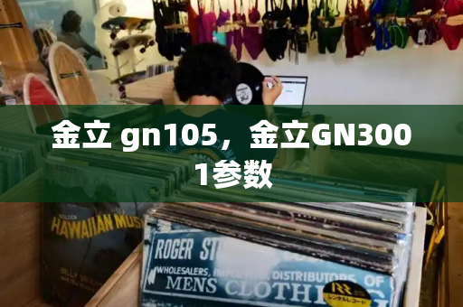 金立 gn105，金立GN3001参数-第1张图片-星选测评
