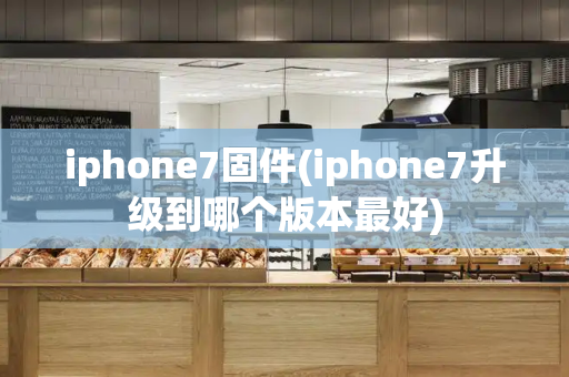 iphone7固件(iphone7升级到哪个版本最好)-第1张图片-星选测评