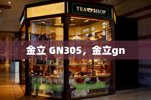 金立 GN305，金立gn