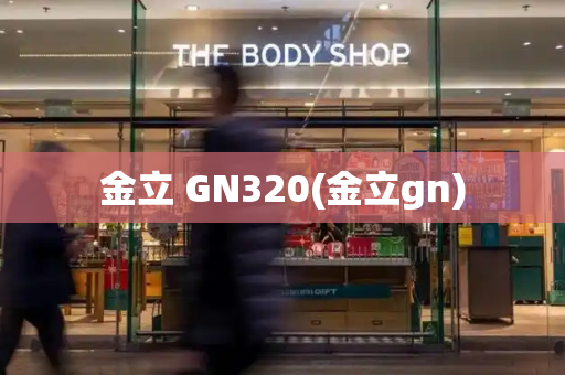 金立 GN320(金立gn)