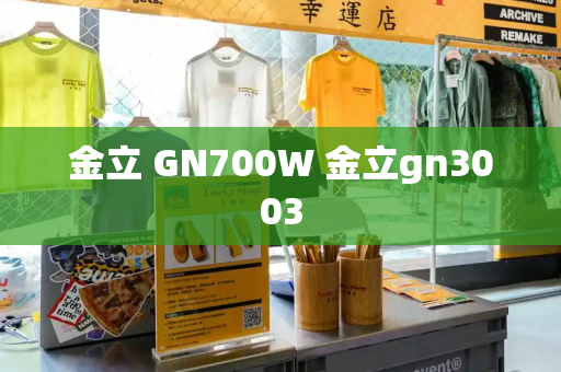 金立 GN700W 金立gn3003