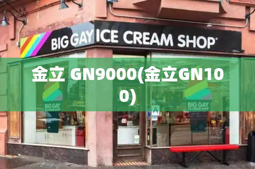 金立 GN9000(金立GN100)-第1张图片-星选测评