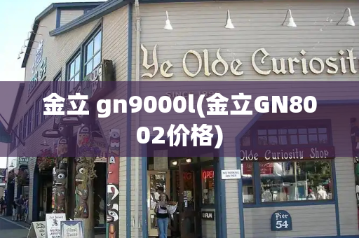 金立 gn9000l(金立GN8002价格)-第1张图片-星选测评