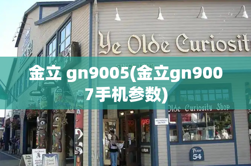 金立 gn9005(金立gn9007手机参数)