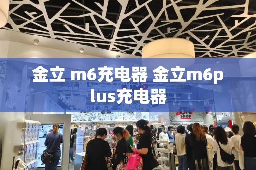 金立 m6充电器 金立m6plus充电器