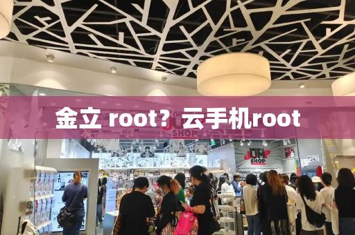 金立 root？云手机root-第1张图片-星选测评