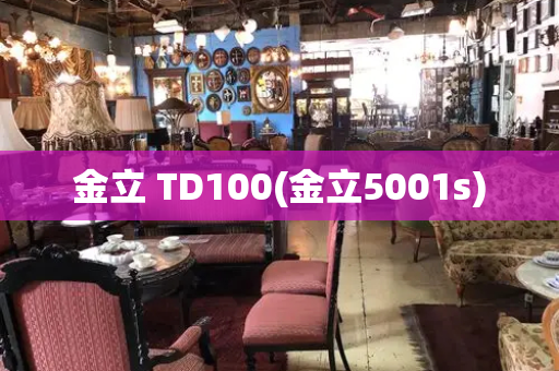 金立 TD100(金立5001s)-第1张图片-星选测评