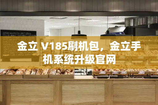 金立 V185刷机包，金立手机系统升级官网-第1张图片-星选测评