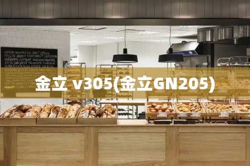 金立 v305(金立GN205)