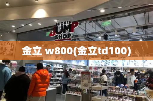 金立 w800(金立td100)
