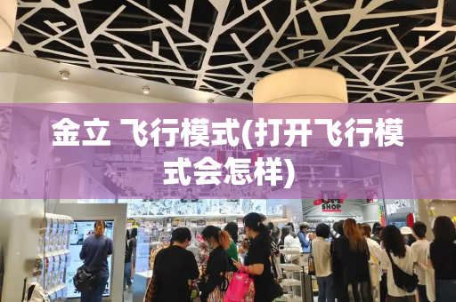 金立 飞行模式(打开飞行模式会怎样)