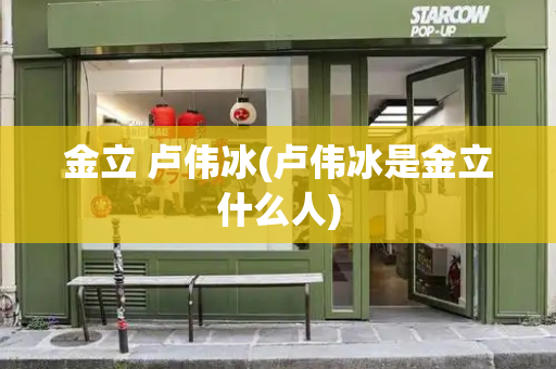 金立 卢伟冰(卢伟冰是金立什么人)