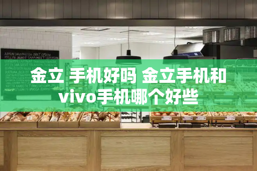 金立 手机好吗 金立手机和vivo手机哪个好些-第1张图片-星选测评
