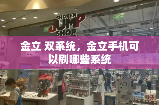 金立 双系统，金立手机可以刷哪些系统