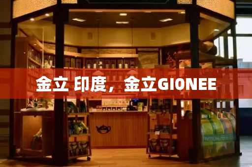 金立 印度，金立GI0NEE