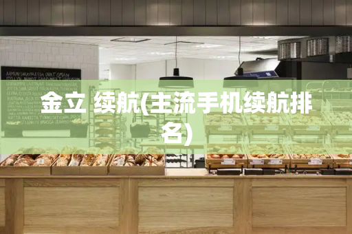 金立 续航(主流手机续航排名)