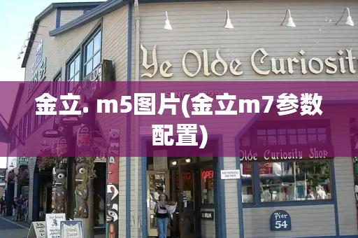 金立. m5图片(金立m7参数配置)-第1张图片-星选测评