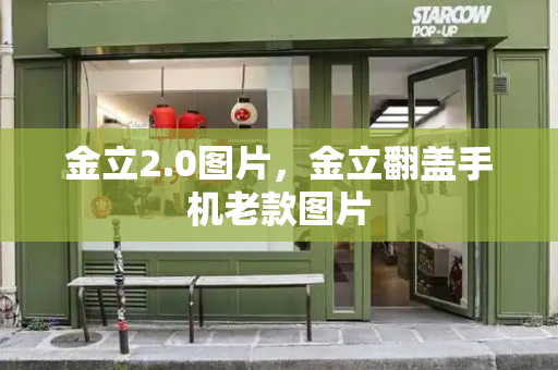 金立2.0图片，金立翻盖手机老款图片