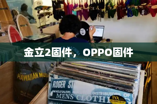 金立2固件，OPPO固件-第1张图片-星选测评