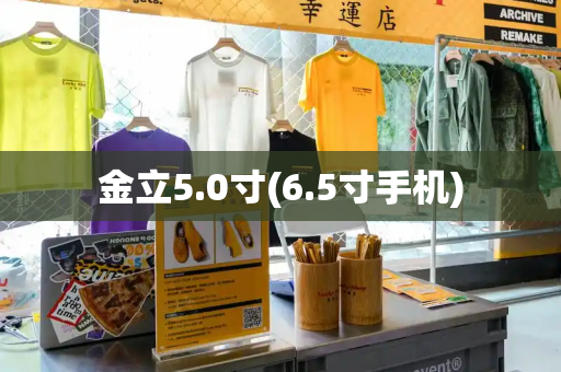 金立5.0寸(6.5寸手机)-第1张图片-星选测评