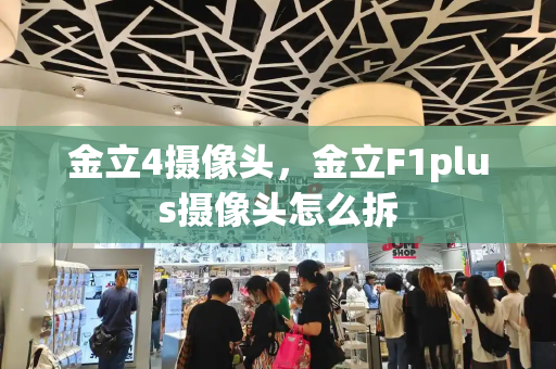 金立4摄像头，金立F1plus摄像头怎么拆-第1张图片-星选测评