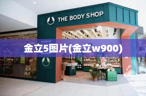 金立5图片(金立w900)