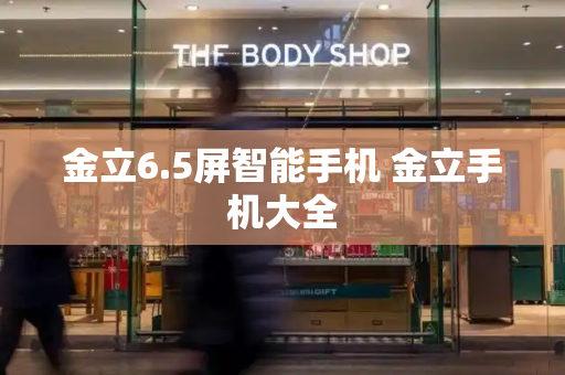 金立6.5屏智能手机 金立手机大全